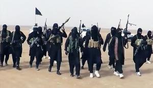 دعوات إلى مطاردة مقاتلي داعش