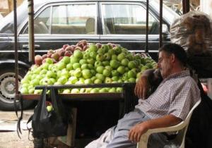 إنتاج بلا أسواق ولَعْيٌ مستمرّ: التفاح اللبناني وجهته التلف! 