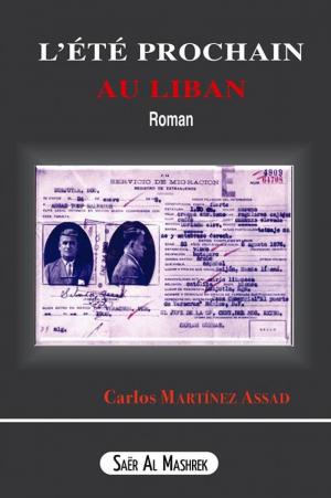  L’été prochain au Liban , du Libano-Mexicain Carlos Martínez Assad