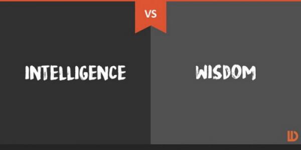 the difference between intelligence and wisdom