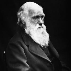 أمثولة تشارلز داروين عندما يتحدى العلم حلف السلطة الدينية والطبقة الحاكمة 