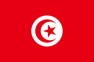 الدولة والدّين في تونس
