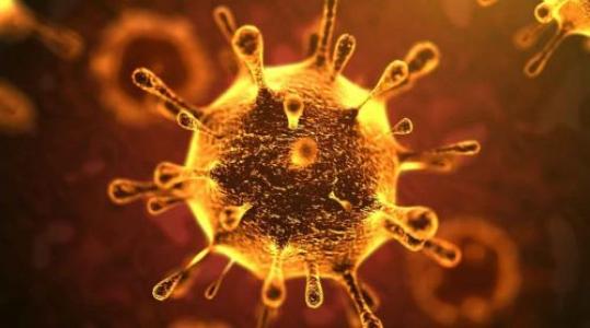 الفيروس العاصي والشكّ العلميّ
